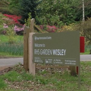 Animals off to Wisley 2a - Emma Keating Jewellery