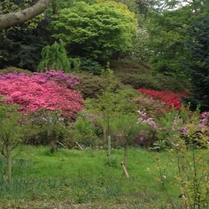 Animals off to Wisley 2b - Emma Keating Jewellery