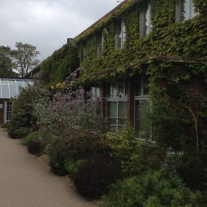 Animals off to Wisley 9 - Emma Keating Jewellery