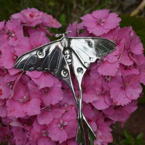 Moon Moth 11 - Emma Keating Jewellery