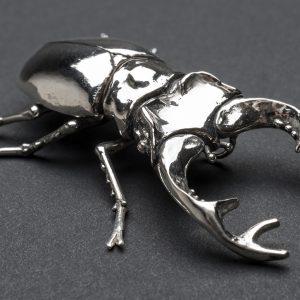 Stag Beetle - Emma Keating Jewellery