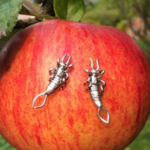 Earwig Earrings (drop or stud)