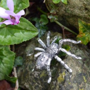 Pumpkin Patch Tarantula Ornament in Sterling Silver by Emma Keating photographed on rockery with leaves and flowers
