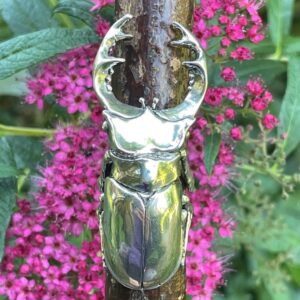 Stag Beetle Ring (male)