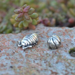 Woodlouse Ornament