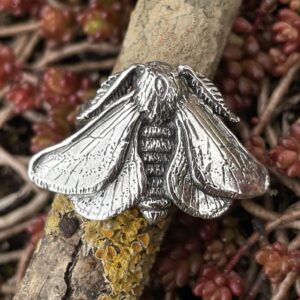 Belted Beauty Moth Ring