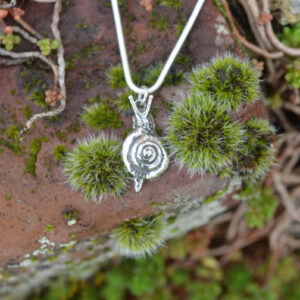 Girdled Snail Pendant - Emma Keating Jewellery