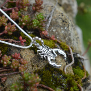 Mini Scorpion Pendant - Emma Keating Jewellery
