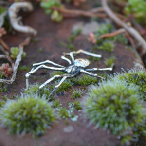 Orb Weaver Spider Ornament - Emma Keating Jewellery