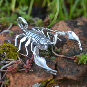 Scorpion Brooch - Emma Jeating Jewellery